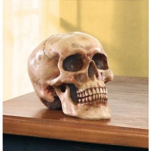 plastic skull